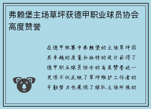 弗赖堡主场草坪获德甲职业球员协会高度赞誉